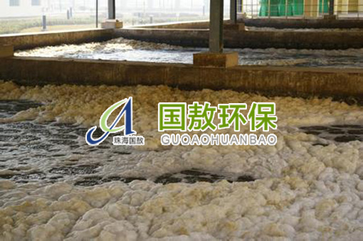 污水處理|污泥膨脹問(wèn)題，解決方案與工藝建議